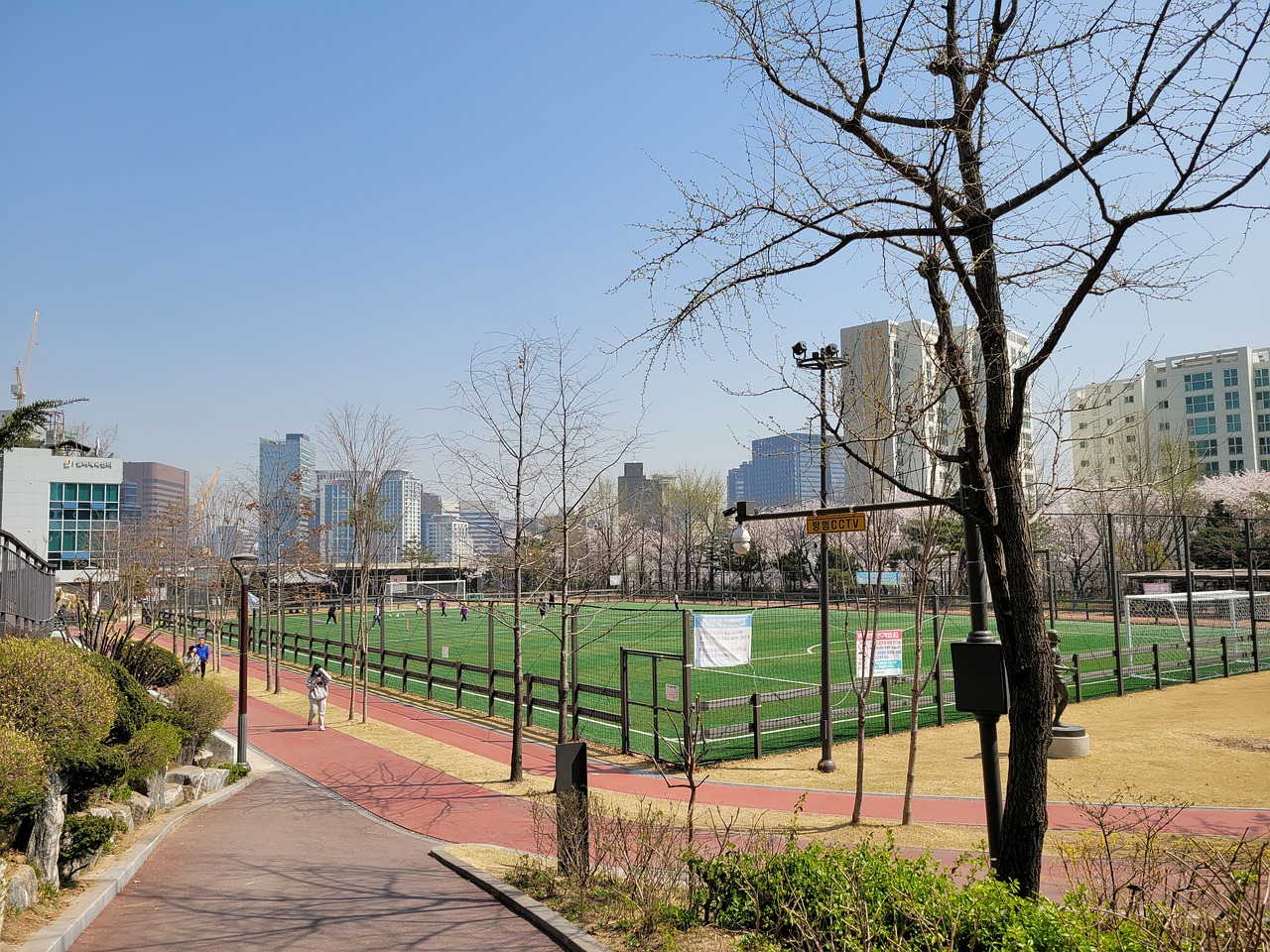 将来说