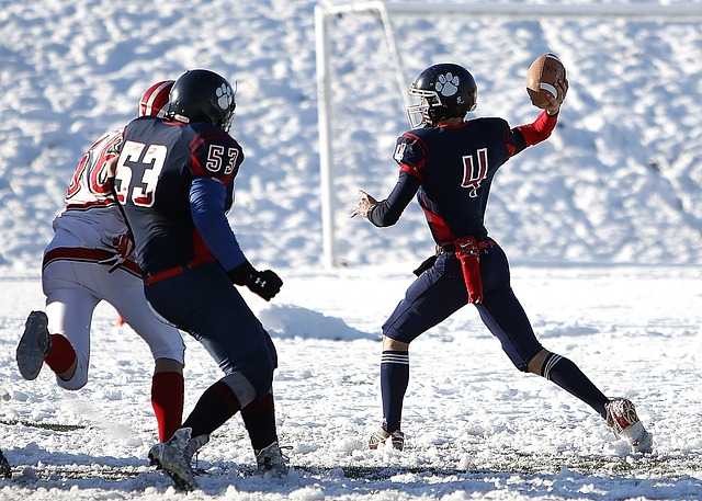 己的努力书 己的努力书