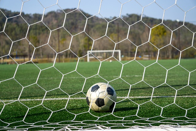 得了6胜5 得了6胜5