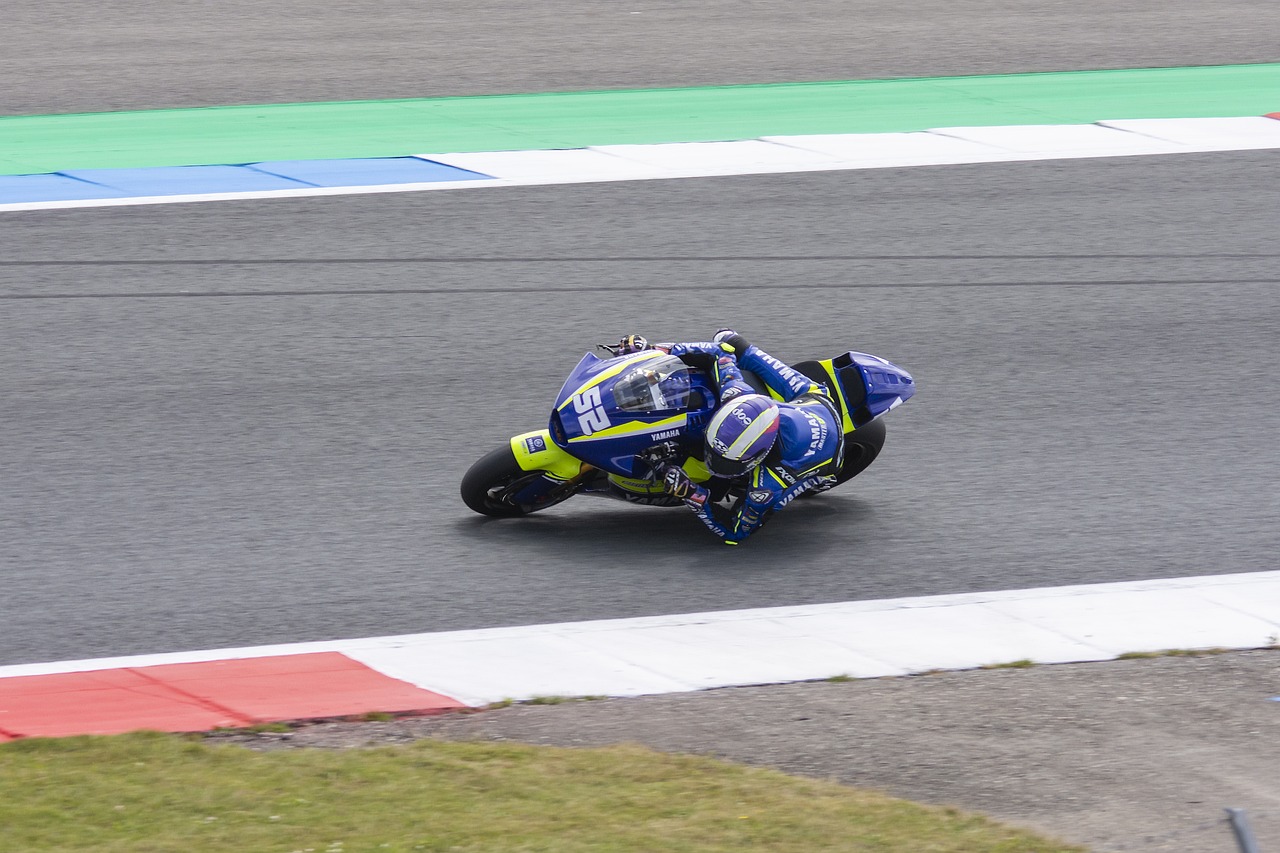 在行业内保 在行业内保