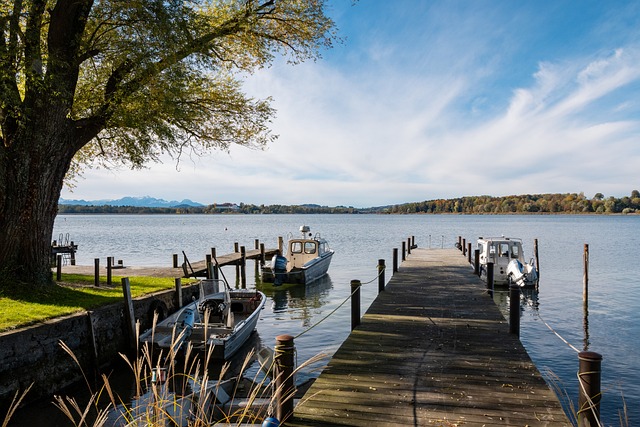 市树立了 市树立了