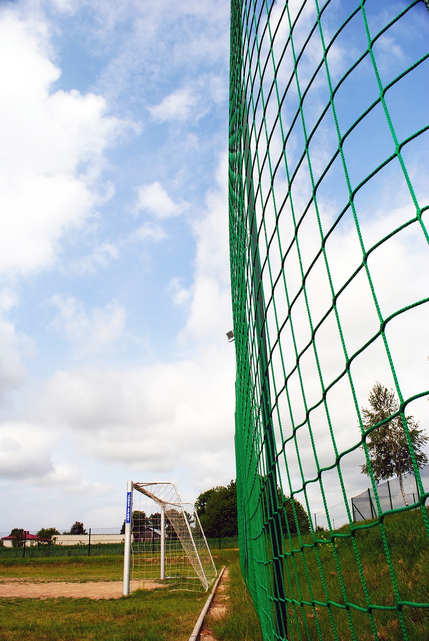 布鲁诺与C 布鲁诺与C